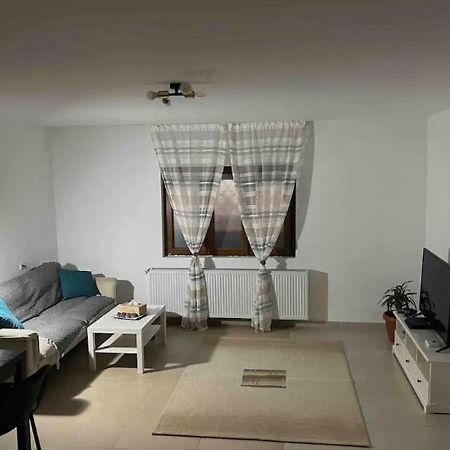 Apartament Bun Burger Timişoara Exterior foto